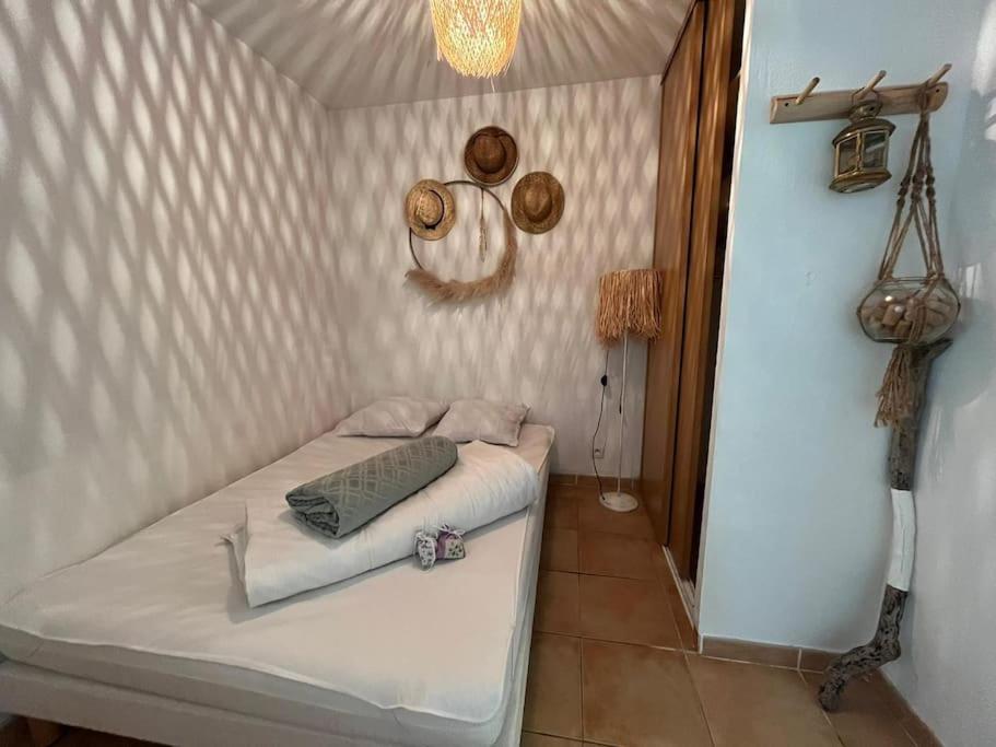 Studio Cabine Pour 4 - Piscine Argelès-sur-Mer Eksteriør bilde